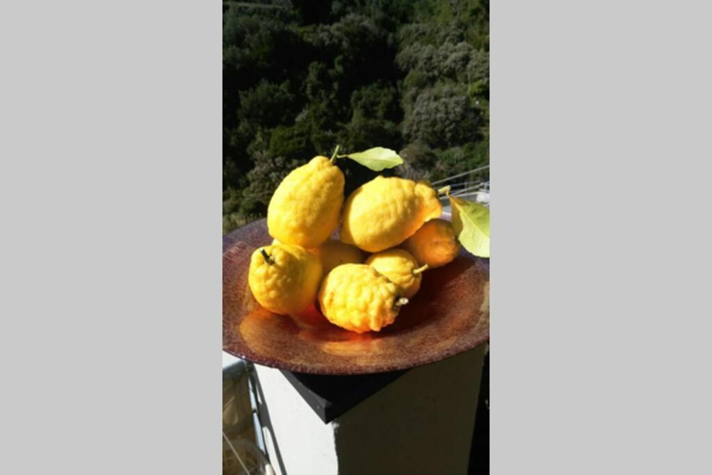 Appartamento Via Colombo 99 里奥马哲雷 外观 照片